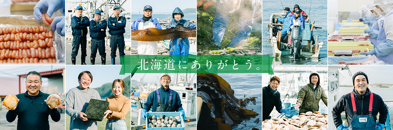 北海道バターライスたらこ　キタメシ　北海道アイ　新品未使用　刻み海苔つき　4つ
